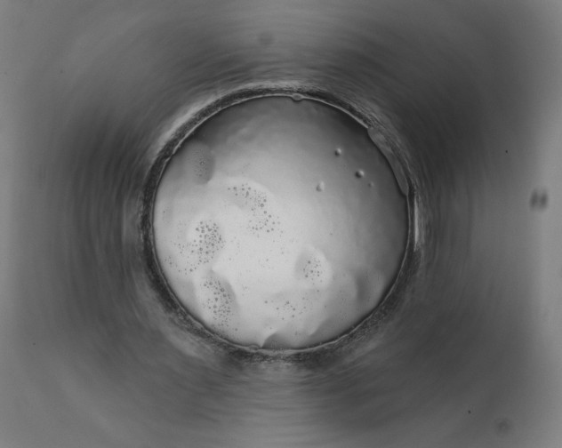 X0000112430483200908281906