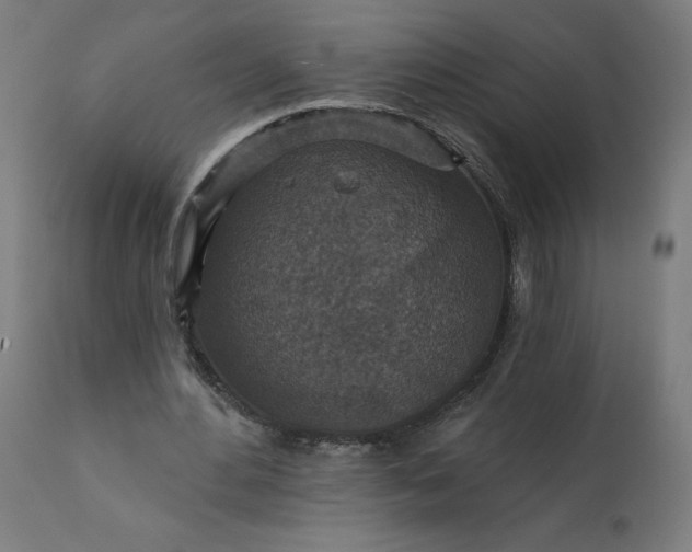 X0000112430484200908281906