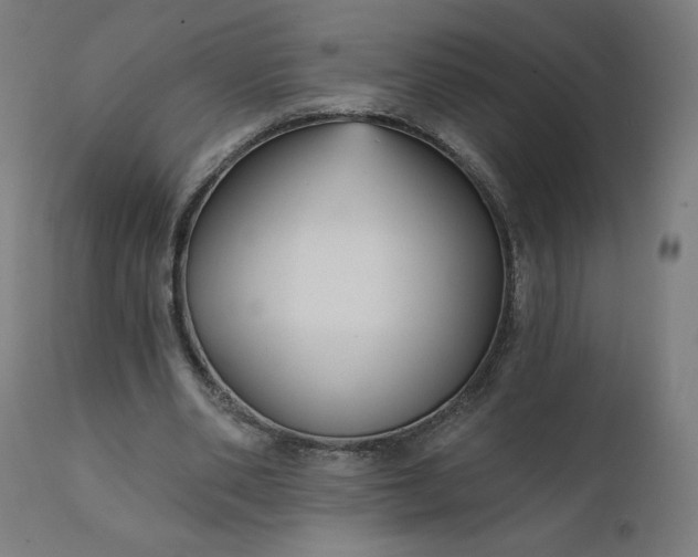 X0000112430486200908281906