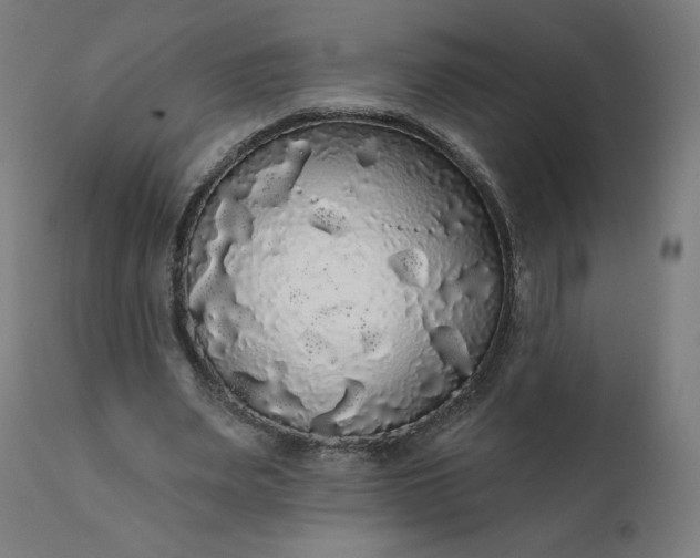 X0000112430487200908281906