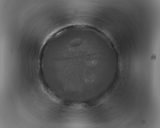 X0000112430488200908281906