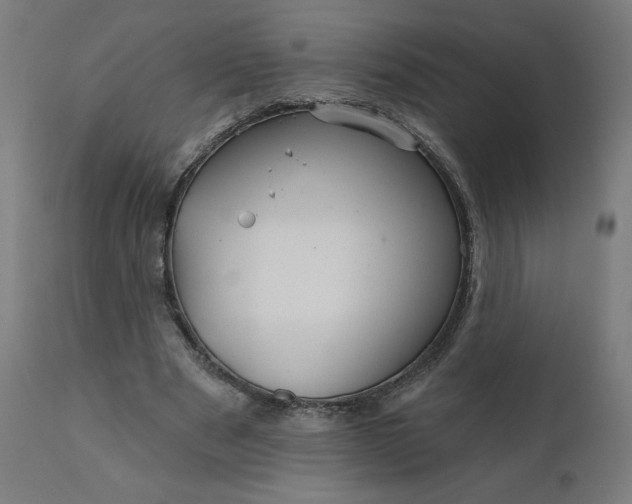 X0000112430489200908281906