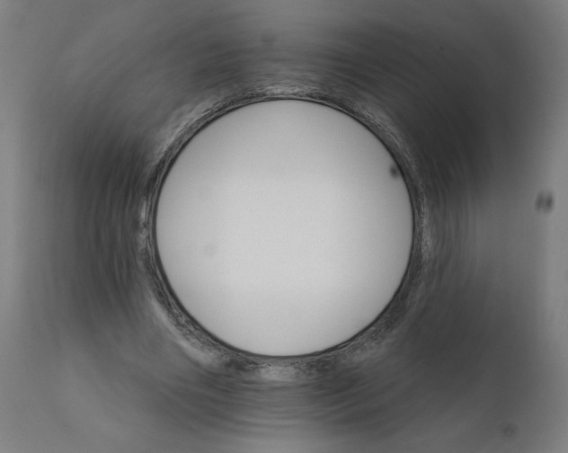 X0000112430490200908281906