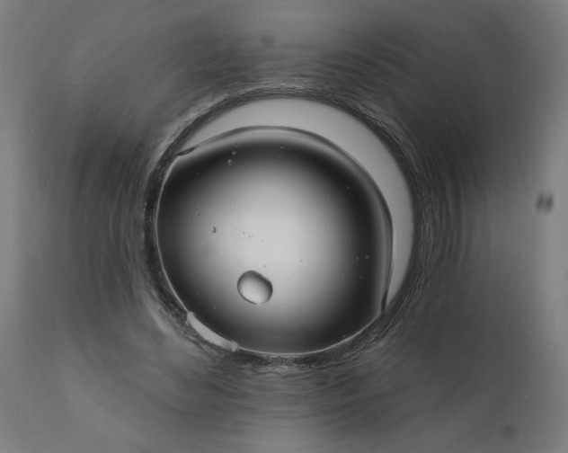 X0000112430492200908281906