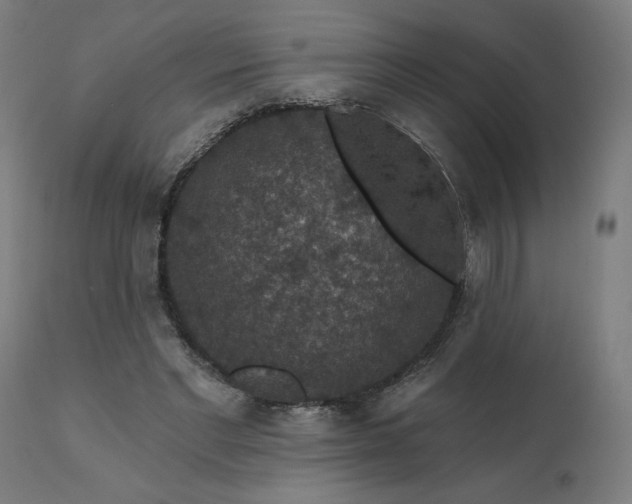 X0000112430493200908281906