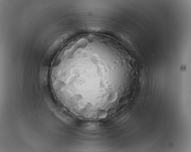 X0000112430495200908281906