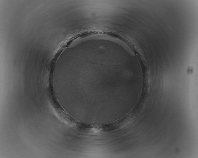 X0000112430496200908281906