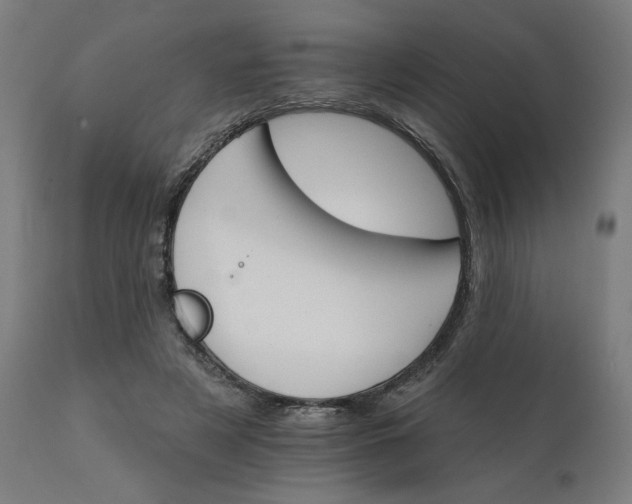 X0000112430497200908281906