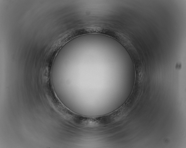 X0000112430498200908281906