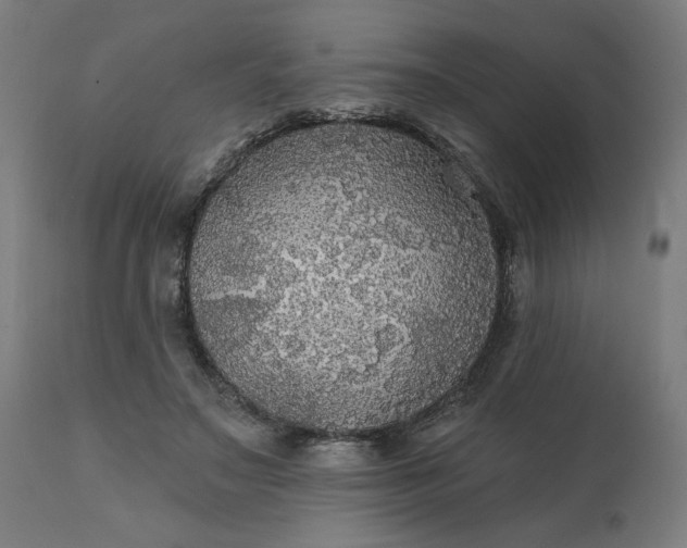 X0000112430499200908281906