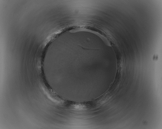 X0000112430500200908281906