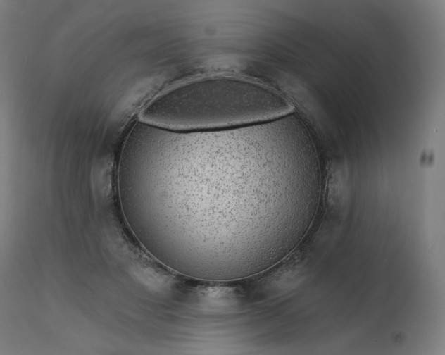 X0000112430501200908281905