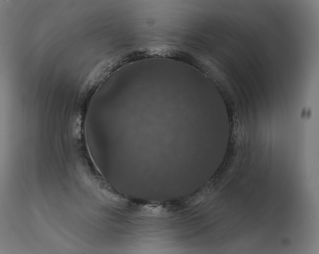 X0000112430502200908281905