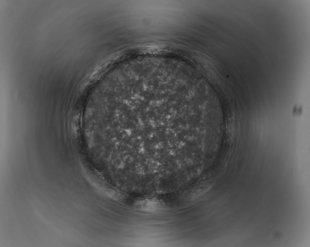 X0000112430503200908281905