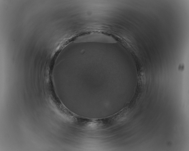 X0000112430504200908281905