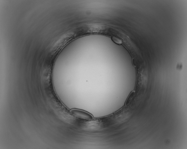 X0000112430505200908281905