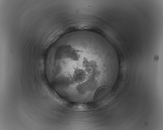 X0000112430506200908281905