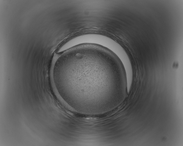 X0000112430508200908281905