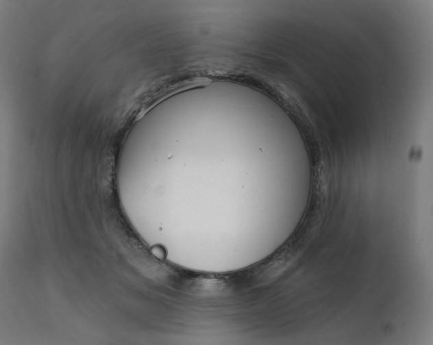 X0000112430509200908281905