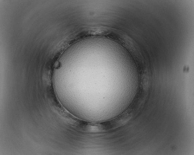 X0000112430510200908281905