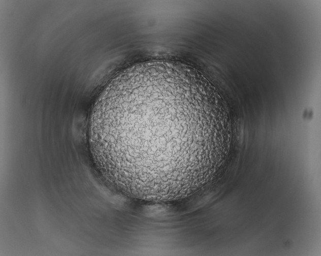 X0000112430511200908281905