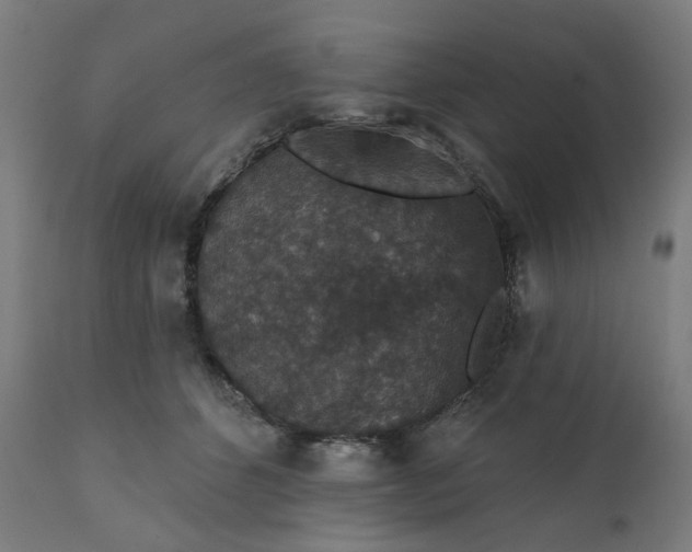 X0000112430512200908281905