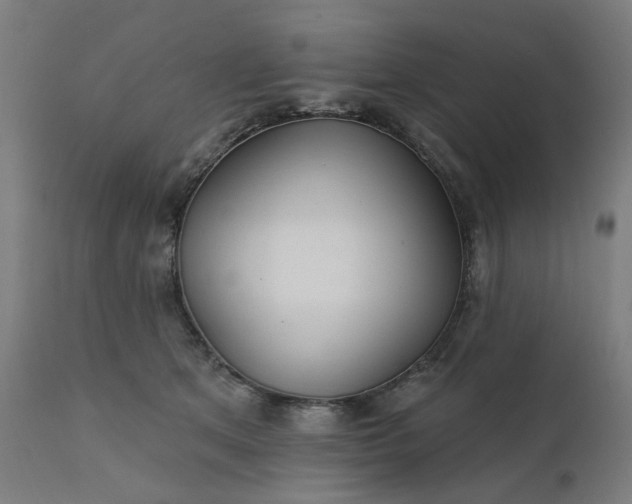 X0000112430513200908281905