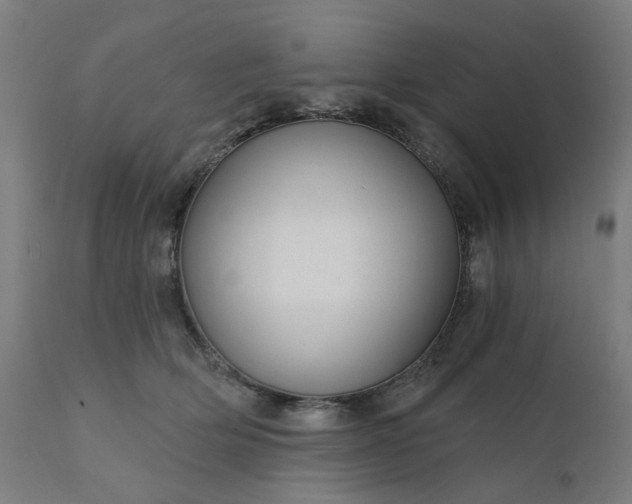 X0000112430514200908281905