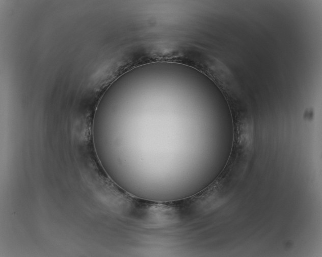 X0000112430515200908281905