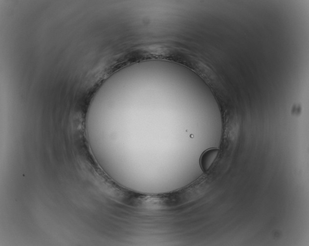 X0000112430518200908281905