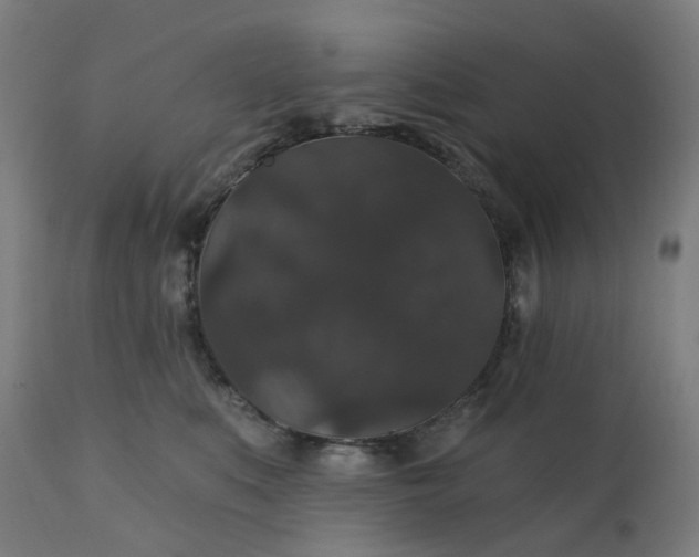 X0000112430519200908281905