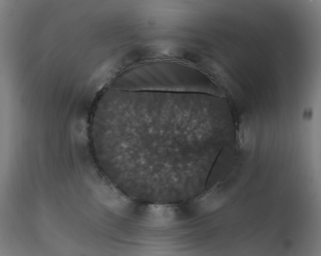 X0000112430520200908281905