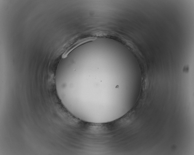 X0000112430521200908281905