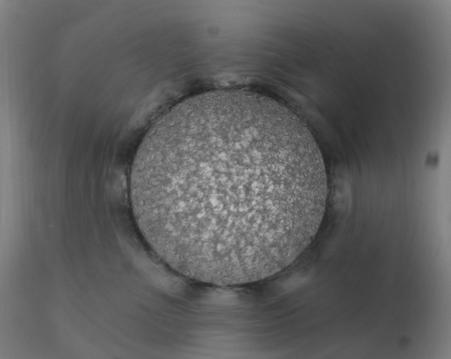 X0000112430523200908281905