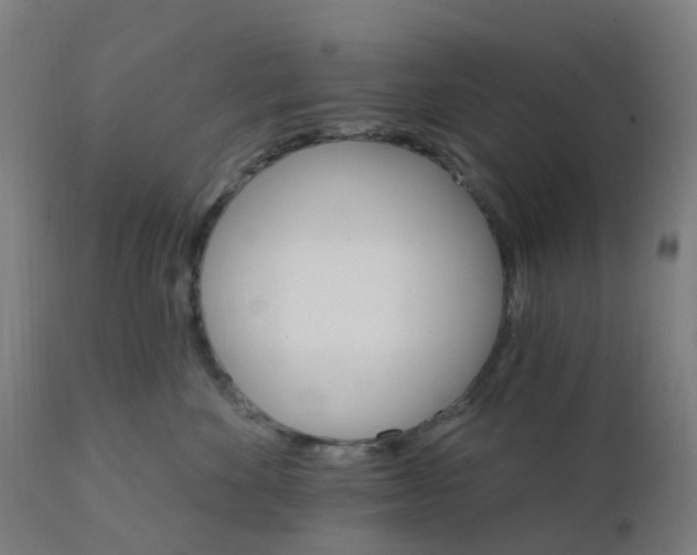 X0000112430524200908281905