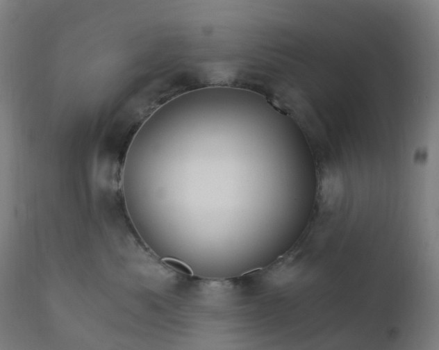 X0000112430525200908281905