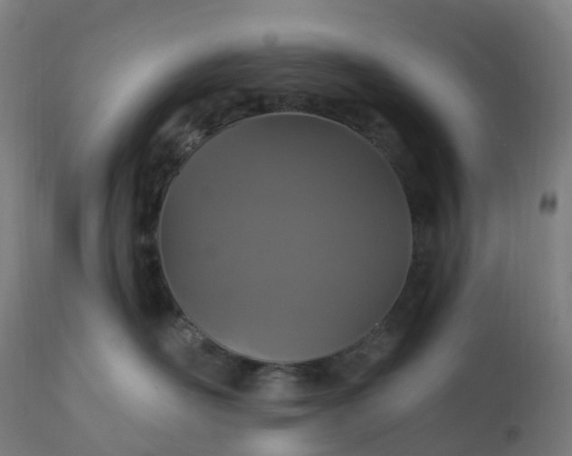 X0000112430526200908281905