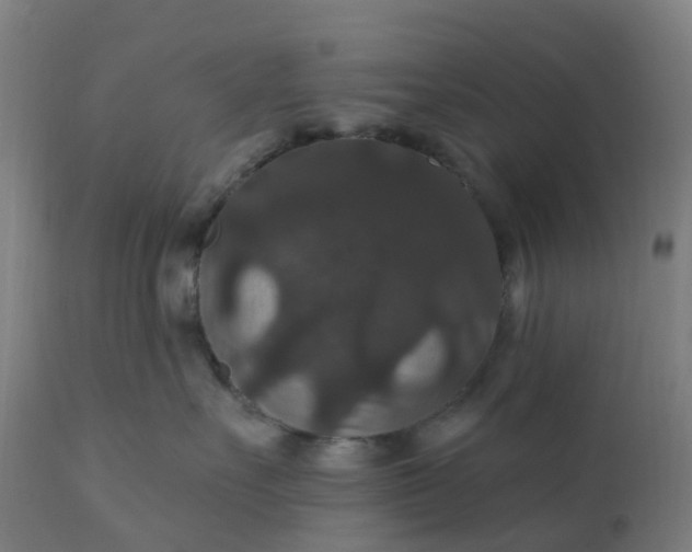 X0000112430527200908281905