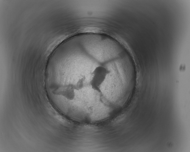 X0000112430529200908281904