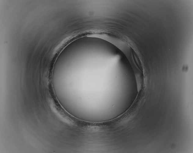 X0000112430530200908281904