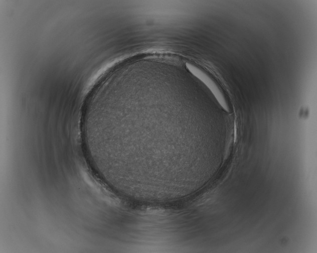 X0000112430531200908281904