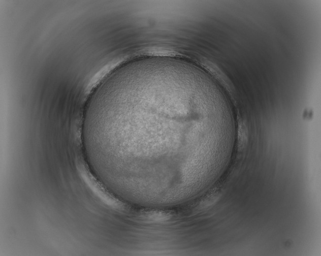 X0000112430533200908281905