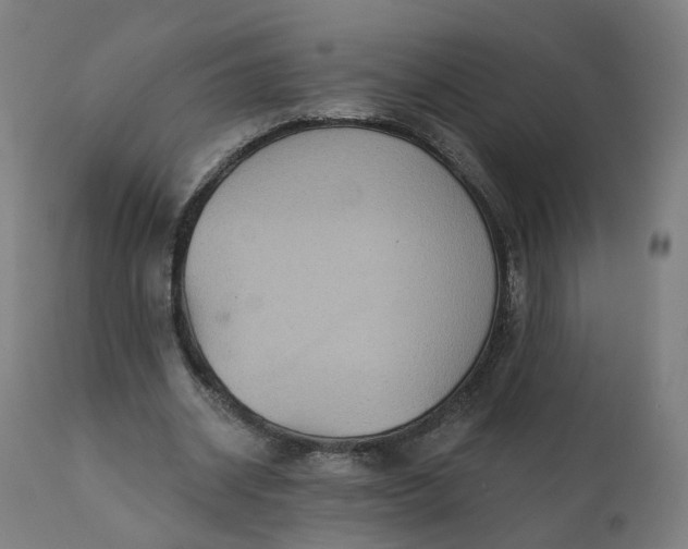 X0000112430534200908281905