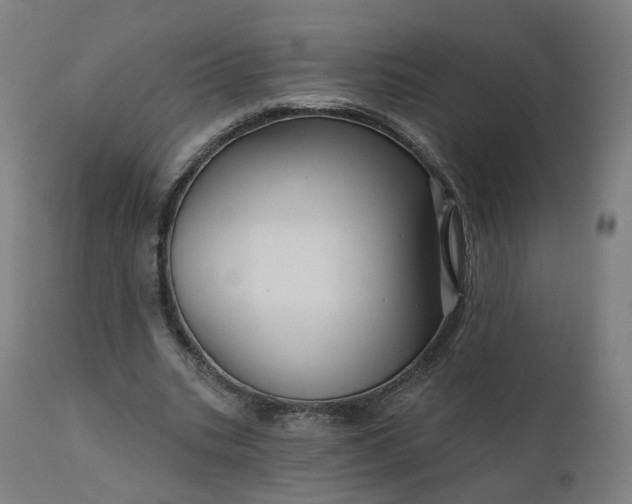 X0000112430535200908281905