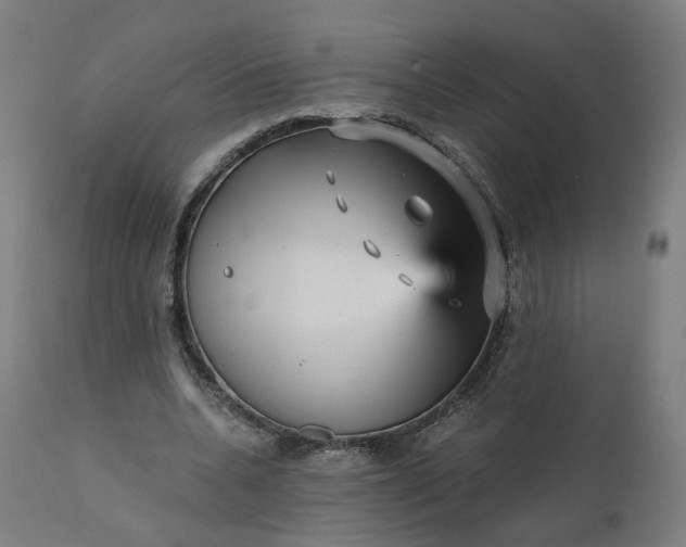 X0000112430536200908281905