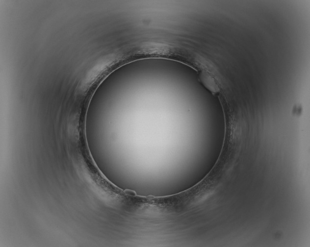 X0000112430538200908281905