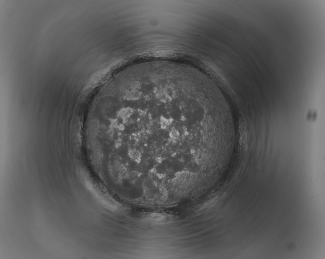 X0000112430542200908281905