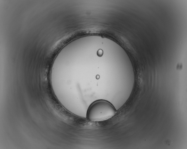 X0000112430543200908281905