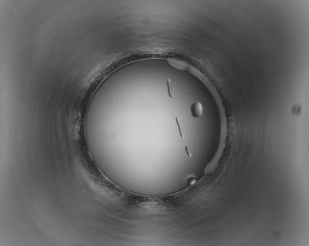 X0000112430544200908281905