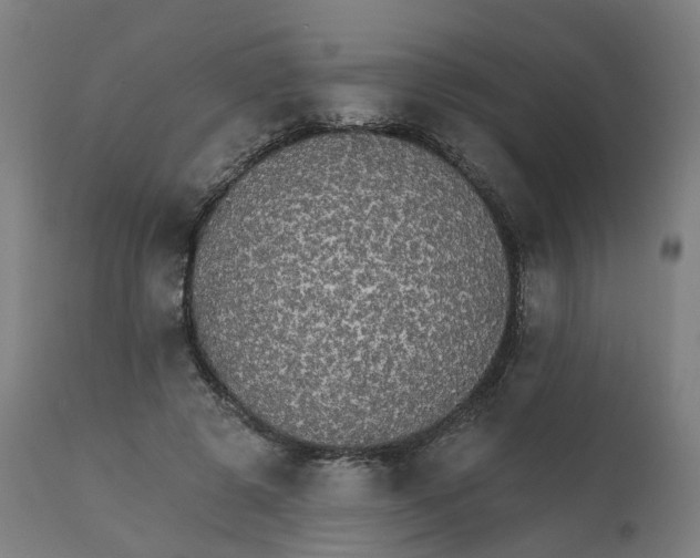 X0000112430545200908281905